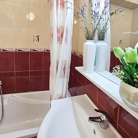 Free Parking Synagogue בודפשט